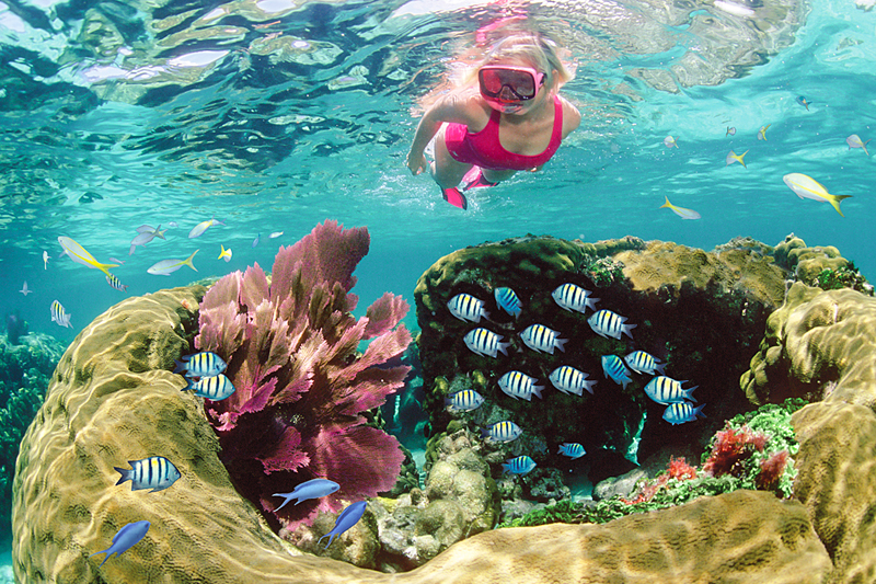 john pennekamp snorkeling tour review